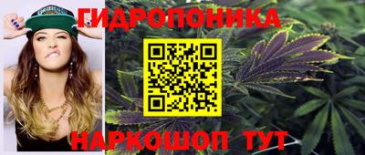 МДПВ Партизанск