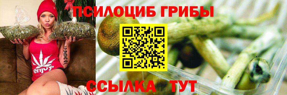 Псилоцибиновые грибы MAGIC MUSHROOMS  Вход с VPN  Галлюциногенные грибы Psilocybine cubensis  Рославль 